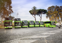 автобусы flixbus