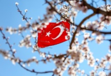 Турция флаг, цветущая ветка